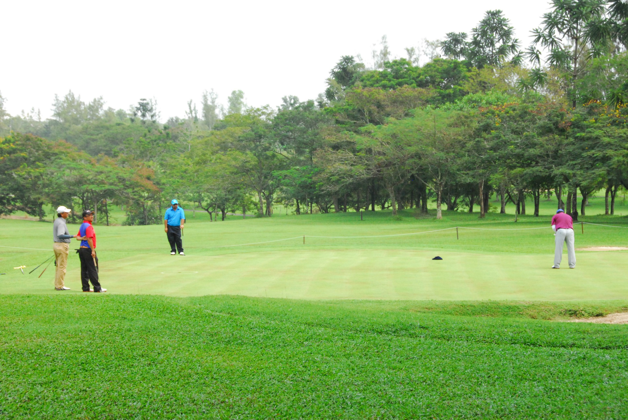 PRO15 157 GOLF DSC 0471.JPG